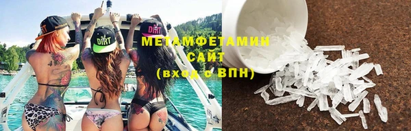 прущие грибы Корсаков