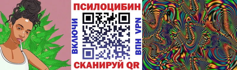 Псилоцибиновые грибы ЛСД  kraken ссылки  Нефтекамск 